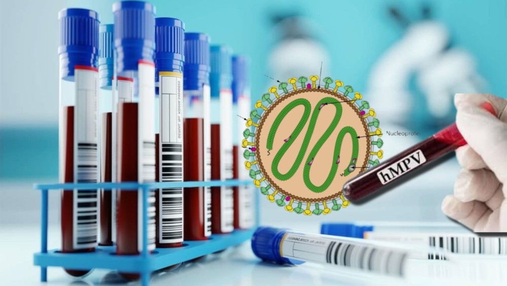 HMPV Virus