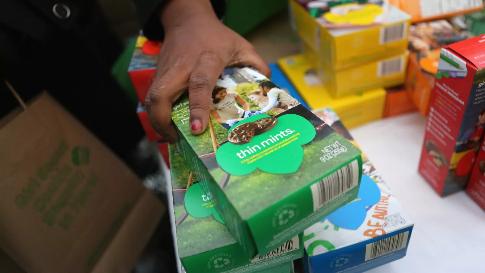 Girl Scout Cookies Lawsuit_Accused of Being Contaminated With Metals_Credit_Newsweek